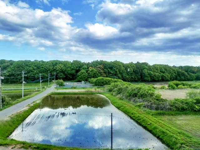 田舎の土地