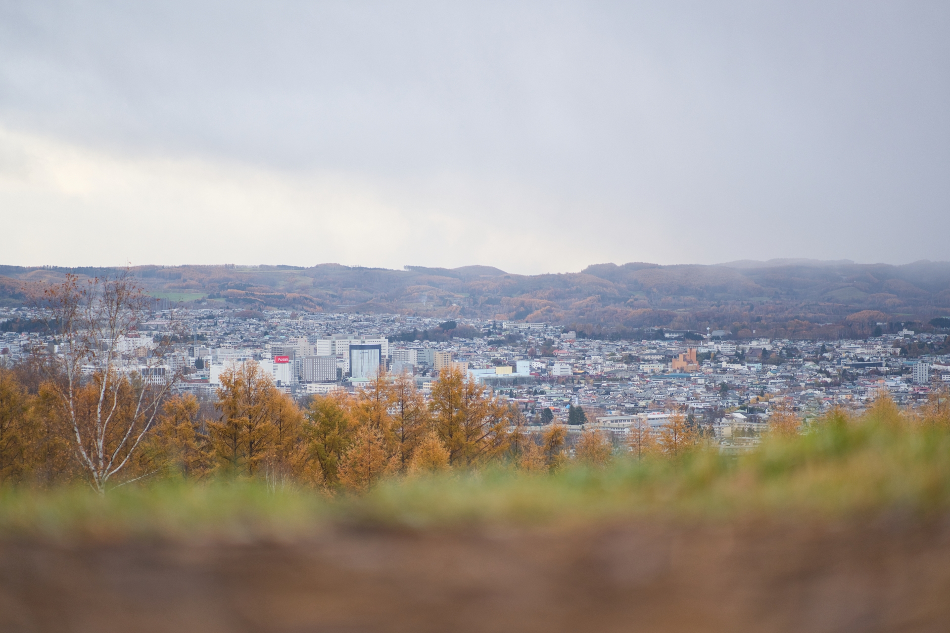 北見市の不動産売却会社25社比較｜目的別に選ぶコツと注意点
